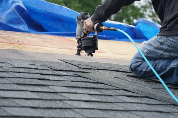 Best Roof Insulation Installation  in Coopersville, MI